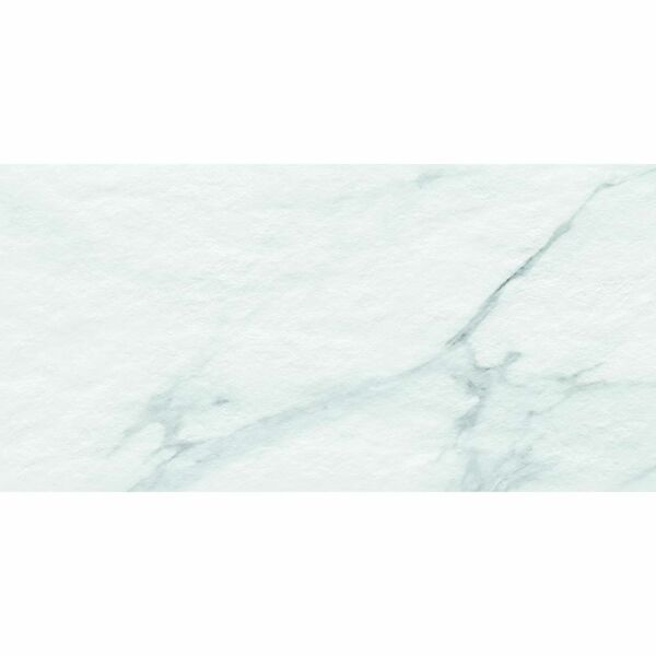 P12981 Montclair Matt Porcelain W&F 600x1200mm