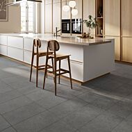 P12889 Siena Light Grey Porcelain W&F Tile 300x600mm